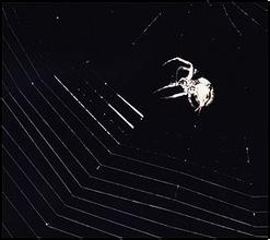 ��ž�ͷ�˿�ɨ������Ƶ���԰׸뵱ѡ��ʮ�ֻ�������»�������ϻḱ��ϯ...